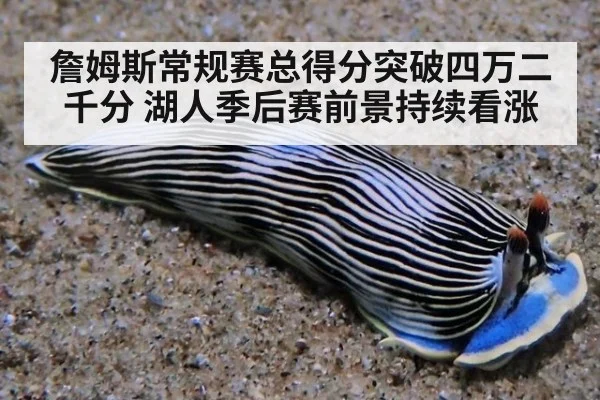 詹姆斯常规赛总得分突破四万二千分 湖人季后赛前景持续看涨